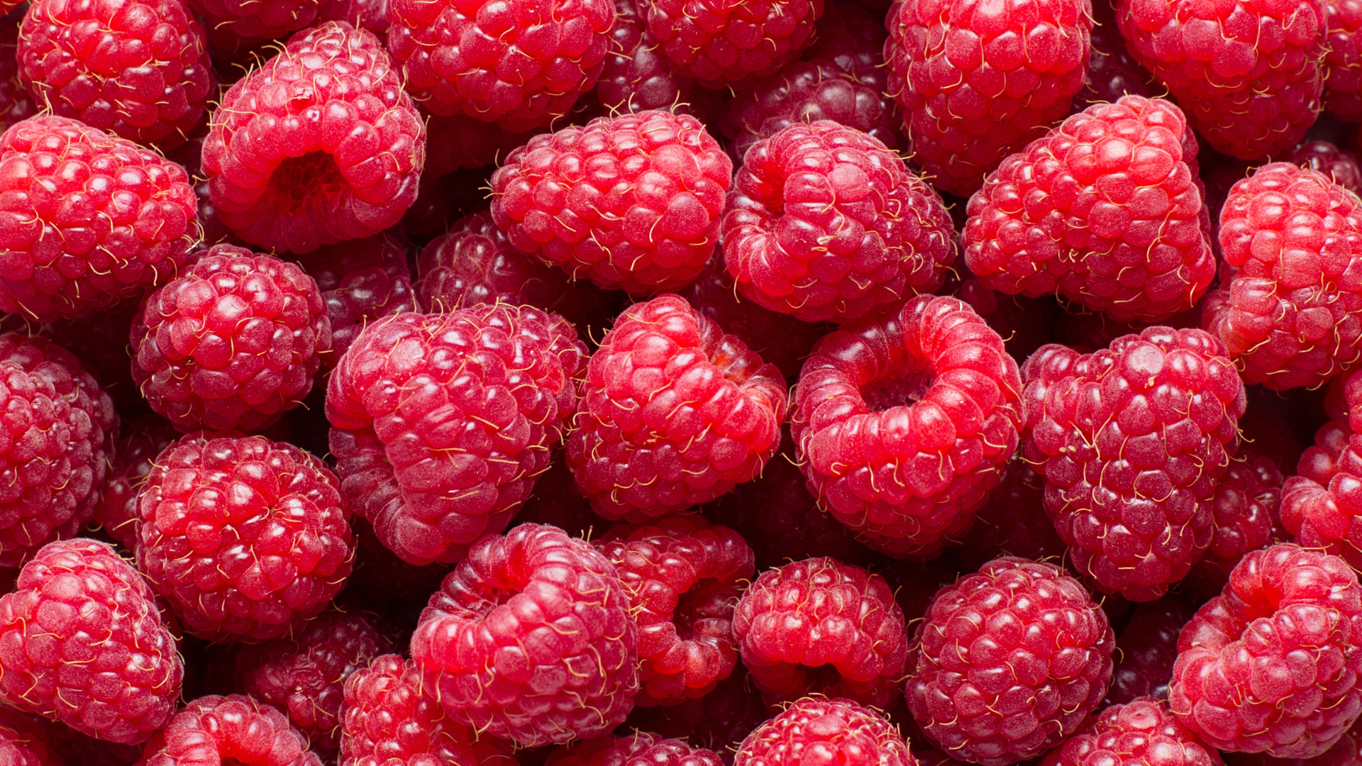 Read more about the article Maliny w cateringu dietetycznym – ile kcal mają te pyszne owoce i co daje ich jedzenie na diecie pudełkowej?